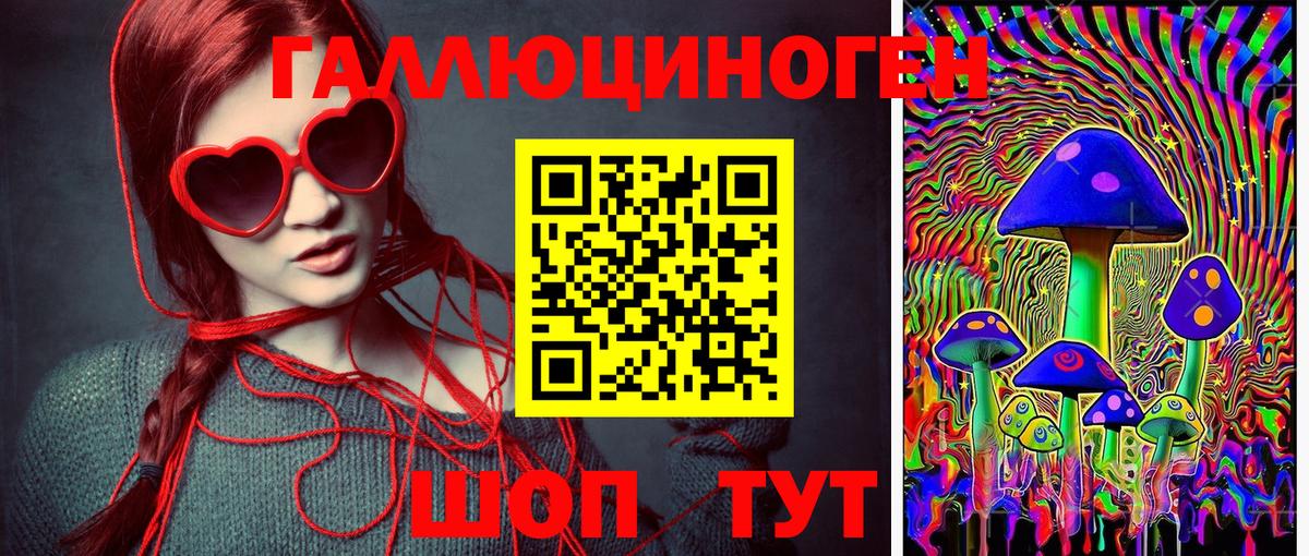 Галлюциногенные грибы прущие грибы  Вход с VPN  Краснознаменск 