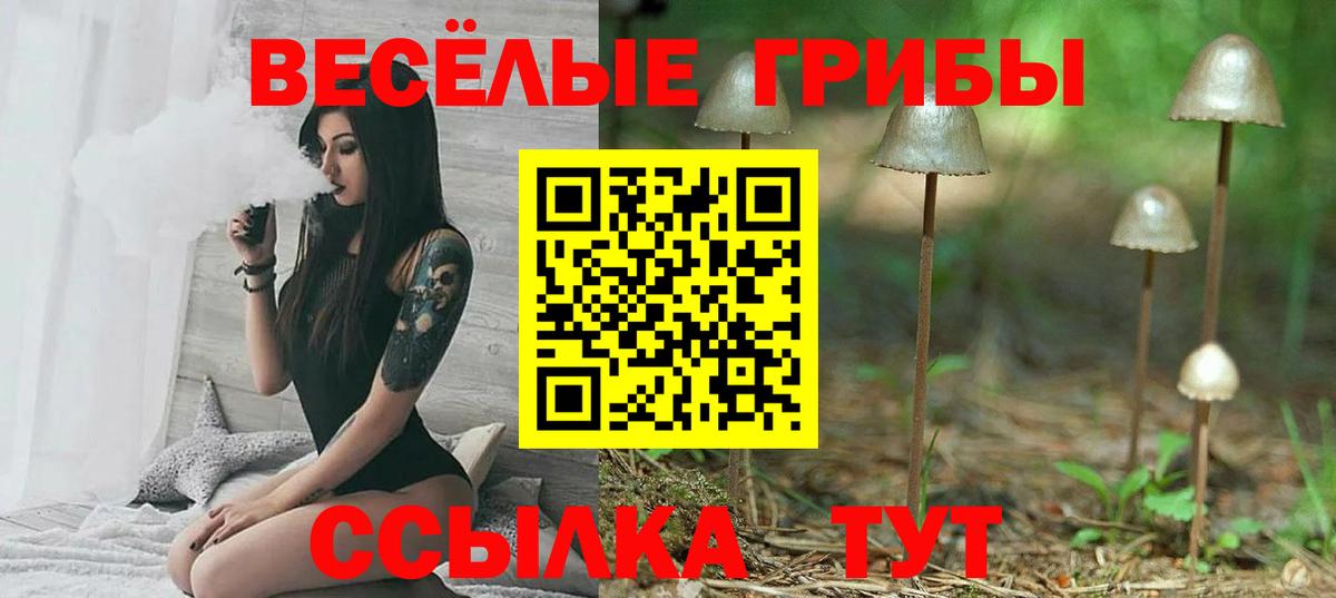 Псилоцибиновые грибы прущие грибы Краснознаменск